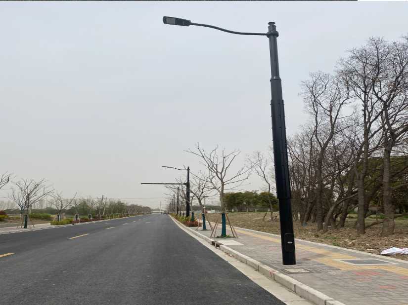 白朗县上海综合杆 太阳能路灯工程